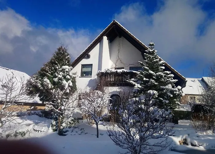Apartment In Eibenstock 30354